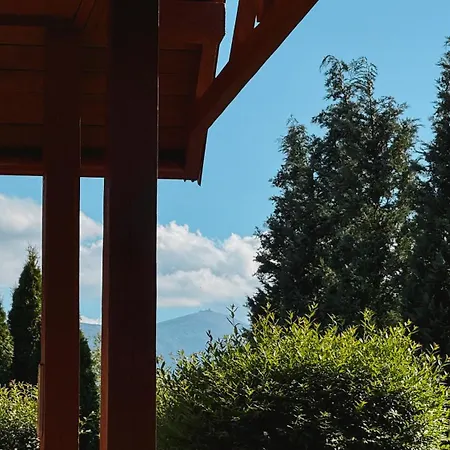 Wald *